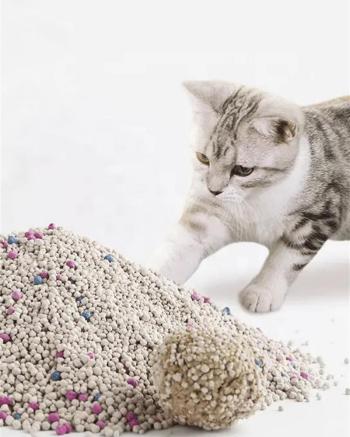 Cat Litters