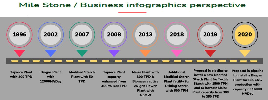 Mile Stone / Business Info-graphics Perspective