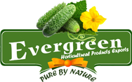 Evergreen Horticultural Products Exports