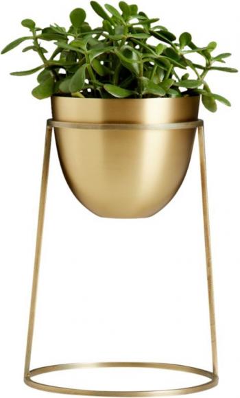 Iron Planter With Stands