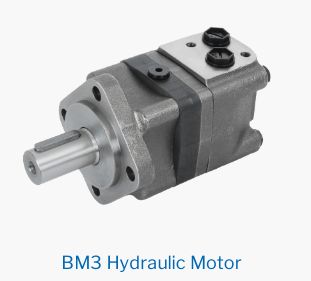 BM Hydraulic Motor