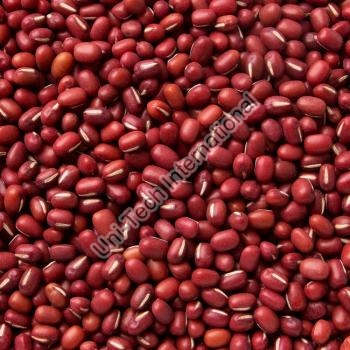 Pulses & Beans