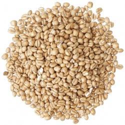 WH Wheat Seeds