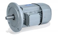 Synchronous and Asynchronous AC Motors