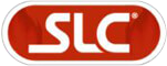 Shree Laxminarayan Casting