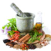 Herbal Extracts Manufacturers