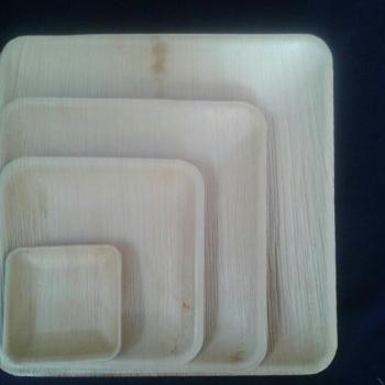 Areca Leaf Plates