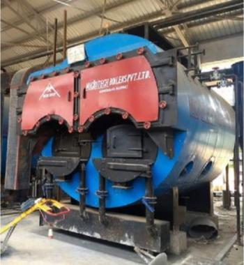 Wood & Coal Fired Package Steam Boiler
