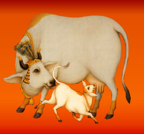 Aravind Gau Seva India Pvt. Ltd. Aravind Gau Seva India Pvt. Ltd.