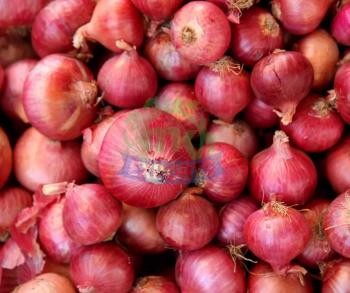 Onion