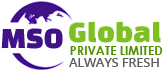 MSO Global Private Limited