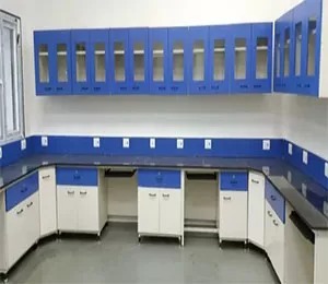 Wall Facing Laboratory Table