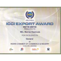 ICC Award 2012-13