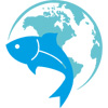 About Us - IMFA Seafoods from Harbour Ke...