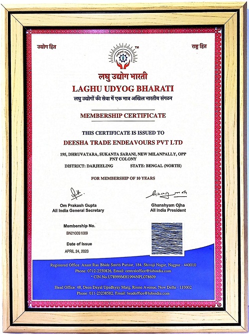 Lub Scan Certificate