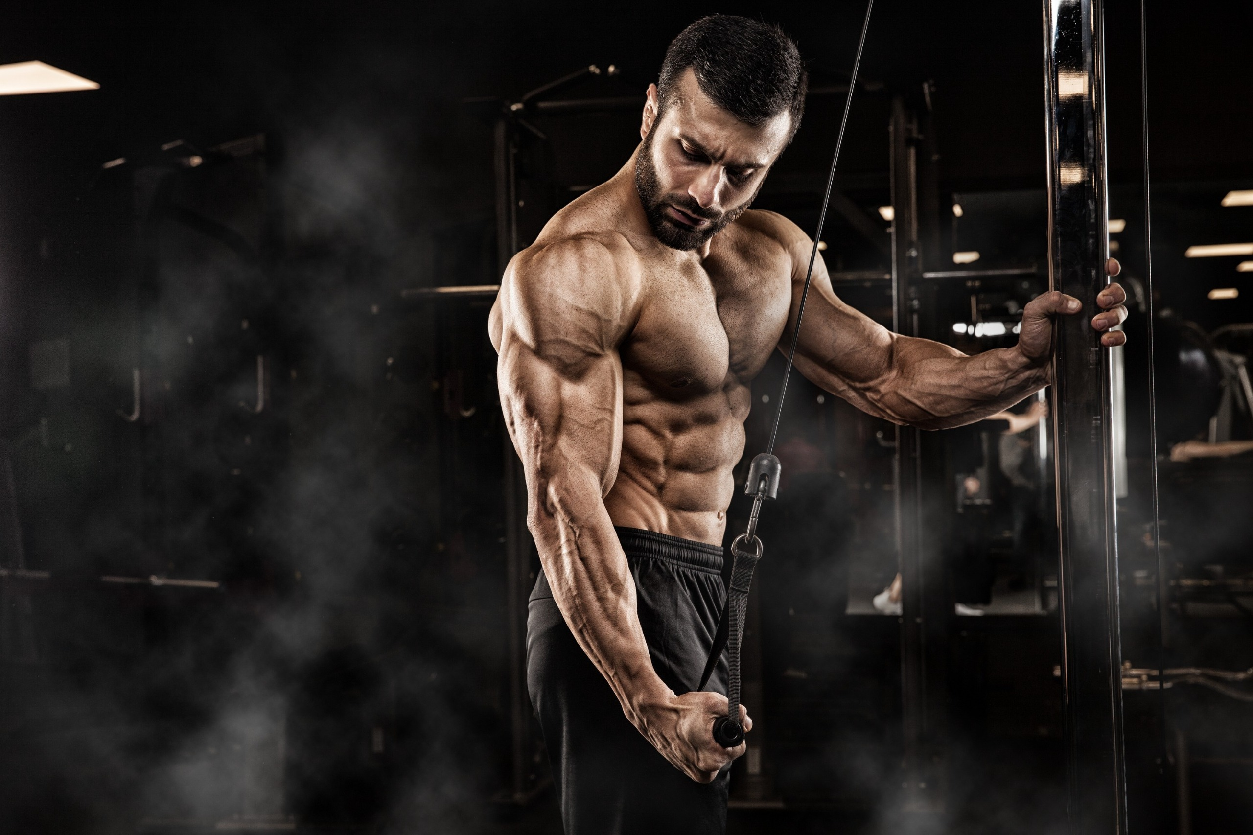 Gym Equipments Manufactures in India