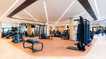 Gym Equipments