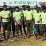 Alif Workers Team