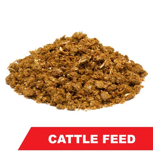 Cattle Feed