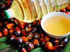Cooking Oil