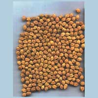 Agro Products Agro Products