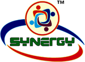 Synergy Food Industries