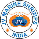 JV Marine Shrimps