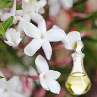 Natural Absolute Oil