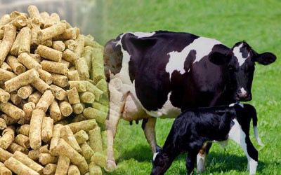 Veterinary Feed Supplements and Medicines