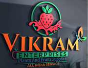 Vikram Enterprises