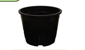 4 Inch Plastic Pot