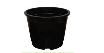 5 Inch Plastic Pot