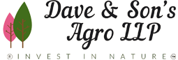 Dave and Sons Agro LLP