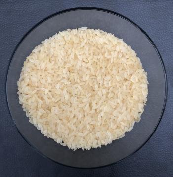 Rocket Swarna Rice