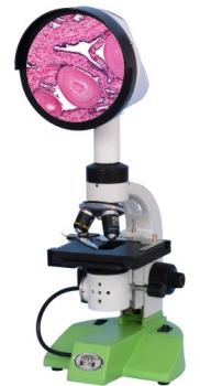 Projection Microscopes