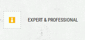 Expert & Professional