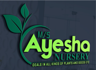 M/S Ayesha Nursery