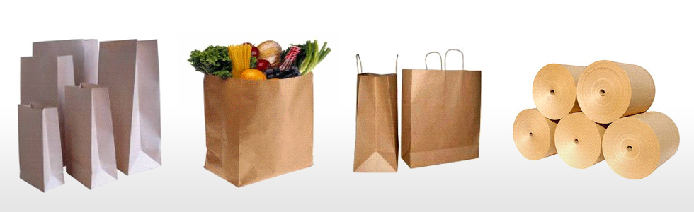 How to Successfully Start a Paper Bag Manufacturing Company