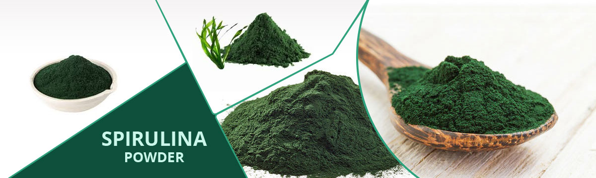 Spirulina Powder Manufacturer and  Supplier 