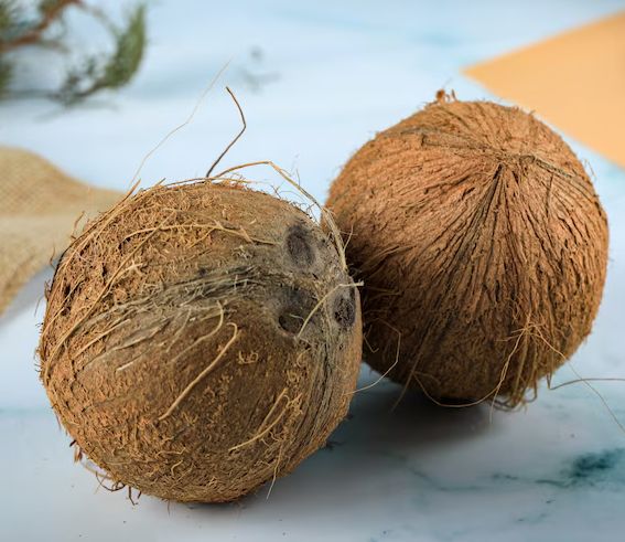 Husked & Semi Husked Coconuts