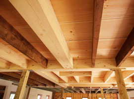 Timber Wall & Roof Framing
