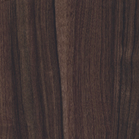 137 Golden Walnut Drak 137 Golden Walnut Drak
