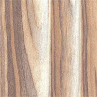 156 Cream Tiger