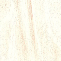 165 Jungle Wood Light