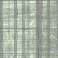 213 New White Line