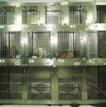 Stainless Steel Animal Cage