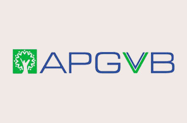 APGV Bank (CCTV & Web Development)