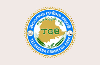 Telangana Grameena Bank ( E-Security / CCTV Installation)