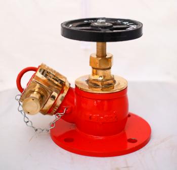 Fire Hydrant Valve