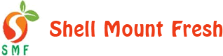 Shell Mount Fresh